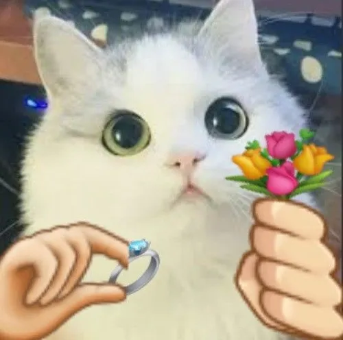 Ảnh troll ánh mắt dịu dàng giữa đêm Valentine