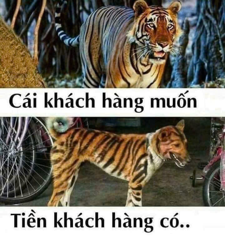 ảnh chế giữ chân khách hàng-9.jpg