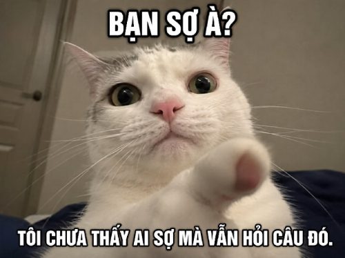 BST ảnh bạn sợ à meme chế lại ếch ộp sợ nó à cực hài