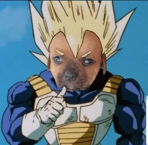 97