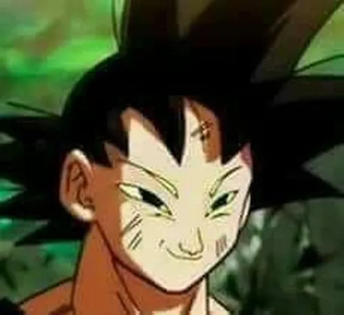 204