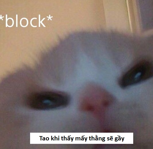 Tung Tung Tung Sahur meme