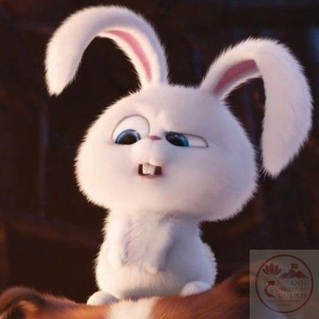 Chỉ cần xuất hiện là meme này đã khiến cuộc trò chuyện sôi nổi hơn
