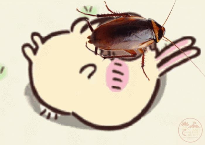 Chiikawa ảnh iconic