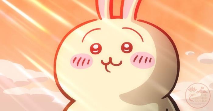 Chiikawa meme face