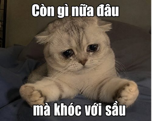Còn gì nữa đâu mà khóc với sầu meme – Khoảnh khắc bất lực