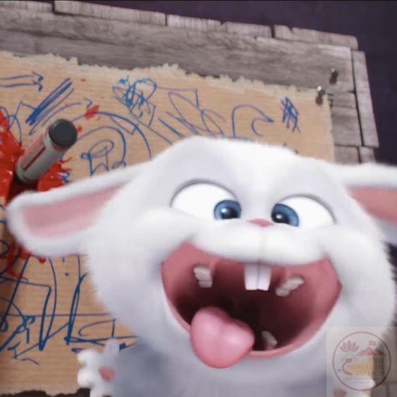 Đầu gấu thỏ Snowball meme