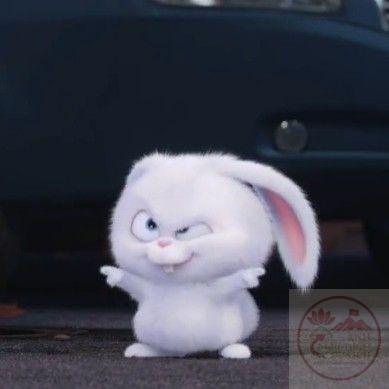 Đây là lựa chọn vui nhộn giúp bình luận thêm phần độc đáo và khác biệt