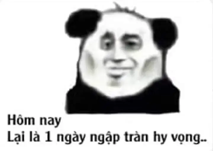 Biểu cảm hờ hững của chú gấu thiếu ngủ trầm trọng