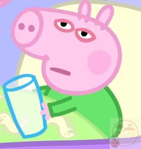 Heo Peppa meme