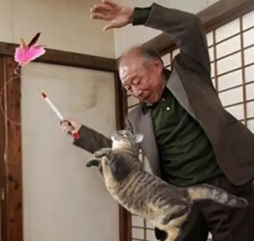 Meme Tokuda cầm roi bất ngờ hợp mọi bình luận nhạy cảm trên mạng Việt