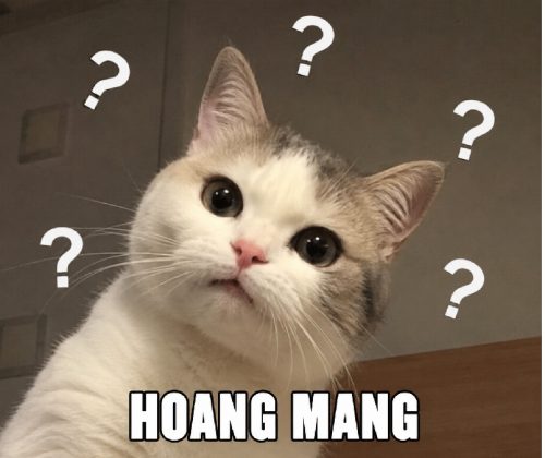 Meme hoang mang – Bộ ảnh chế ngơ ngác siêu hài hước nhất