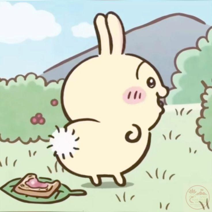 Chiikawa ảnh vui nhộn