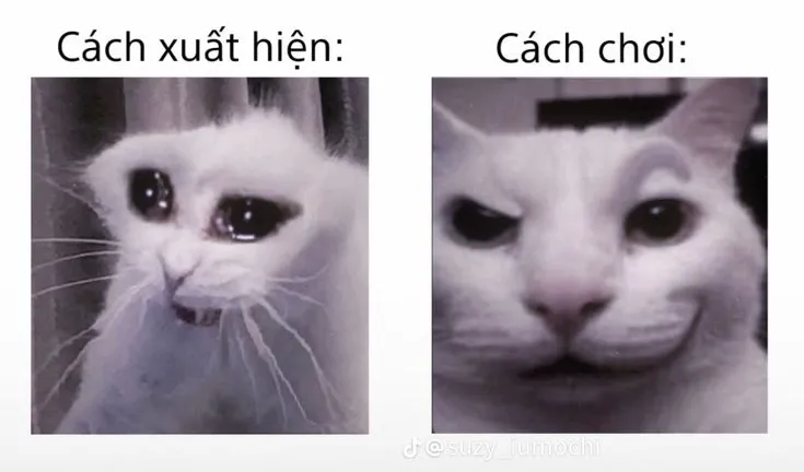 Khi nghĩ mình pro nhưng thực tế lại hơi yếu, bộ meme giới trẻ share điên đảo