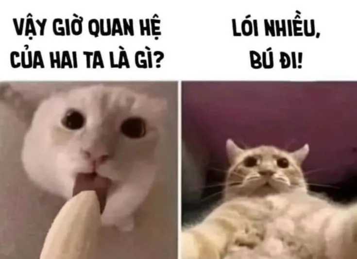 72
