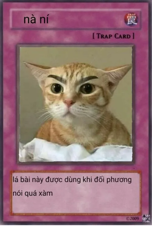 155