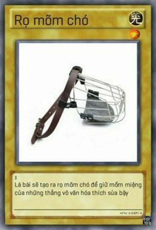 161