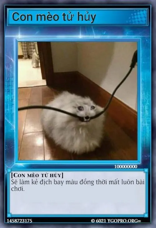 109