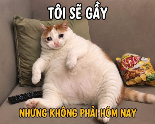 Bộ ảnh sẽ gầy meme hài hước, ảnh chế anime gay siêu bựa