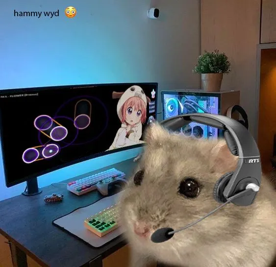 Avatar chuột hamster bá đạo cười muốn xỉu