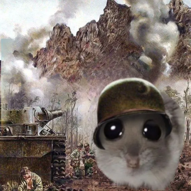 Ảnh chuột hamster lầy lội má phình siêu buồn cười