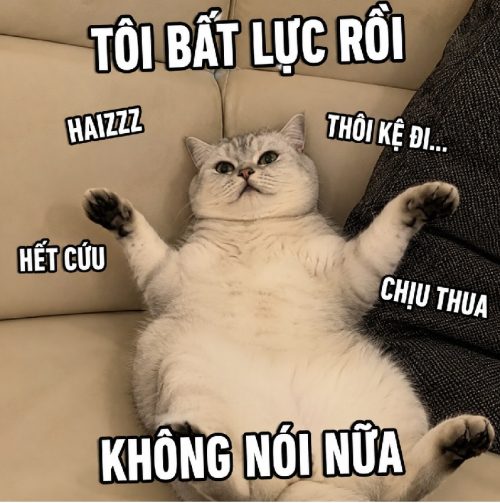Cười bò với bộ meme bất lực trước độ ngang trái cuộc đời