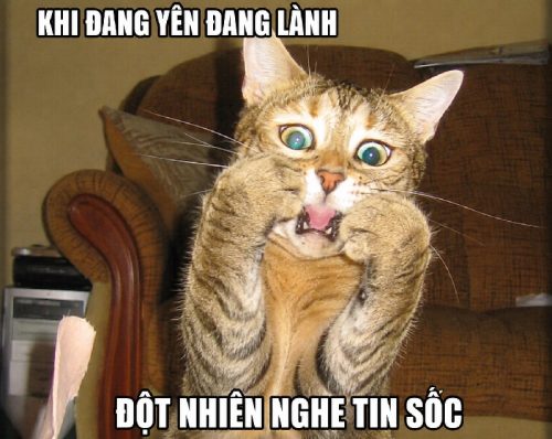 Meme bất ngờ – Tuyển tập những khoảnh khắc ngạc nhiên hài hước nhất