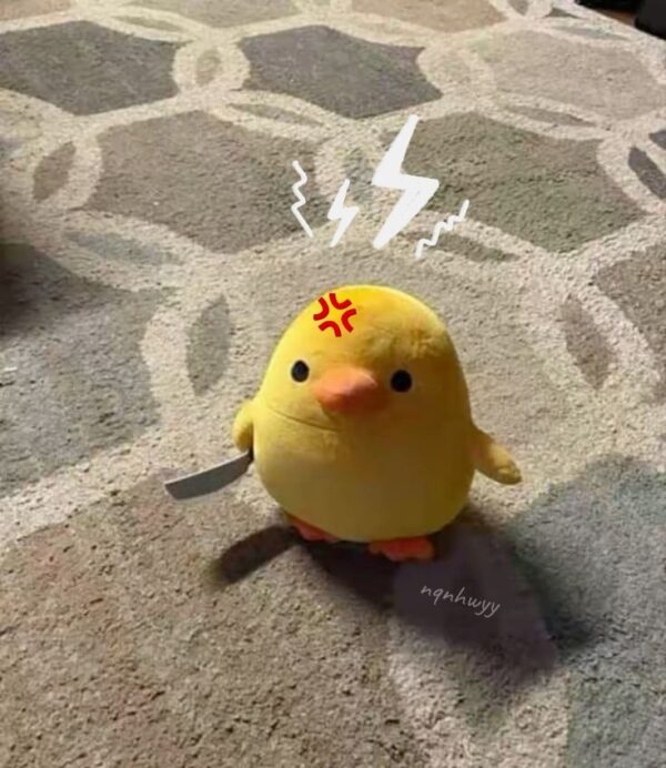 meme ngạc nhiên