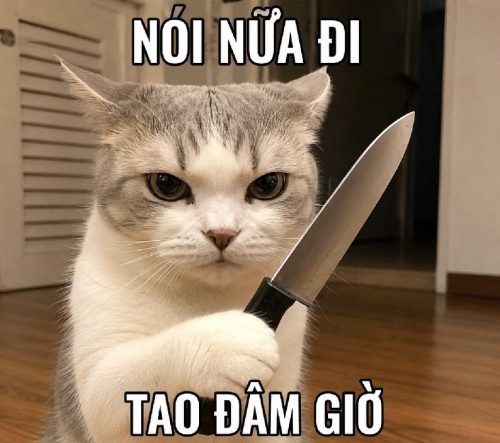 Sưu tầm meme cầm dao hài hước đe dọa siêu bựa