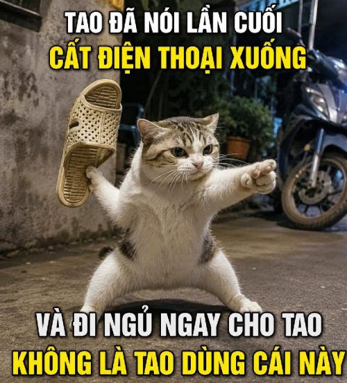 Bộ meme cầm dép siêu hài – Ảnh chế phang dép vả mặt