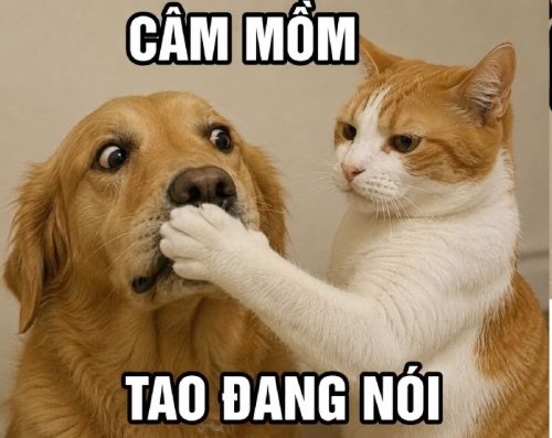 Bộ meme câm mồm chửi – Ảnh chế ông nói ít ít thôi siêu hài