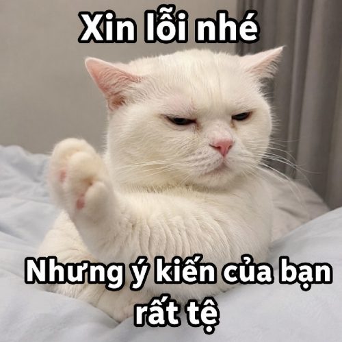 Meme chê – Tuyển tập những khoảnh khắc hài hước nhất