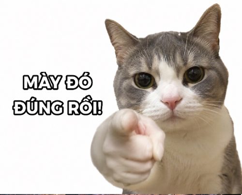 Meme chỉ tay – Bộ ảnh chế siêu lầy lội hài hước nhất
