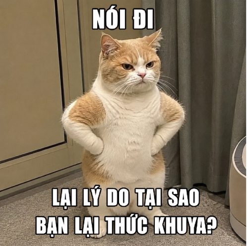 Meme chống nạnh – Tuyển tập những khoảnh khắc thất vọng hài