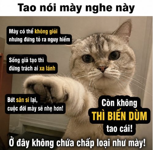 Meme chửi – Full bộ ảnh chế chửi nhau siêu hài hước nhất