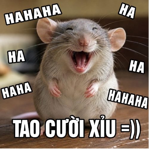 Tuyển tập meme chuột cười biểu cảm cực hài bá đạo