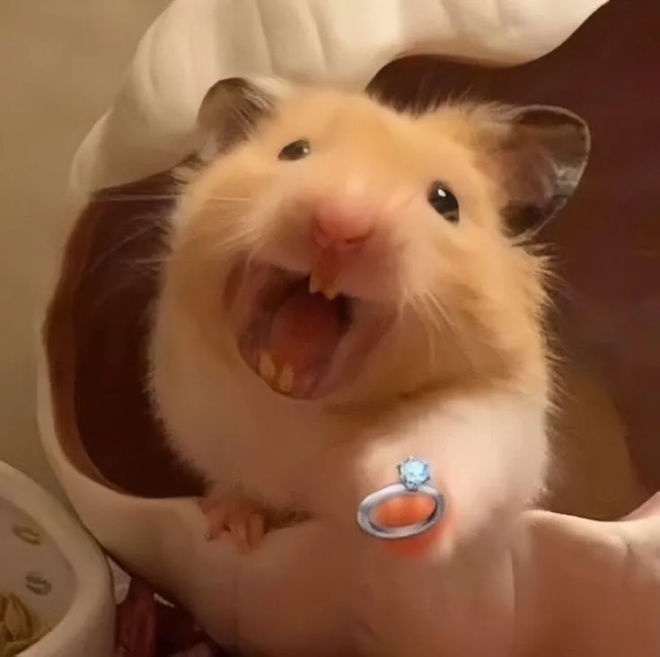 Hình chuột hamster trao nhẫn bá đạo dáng ăn cực bựa