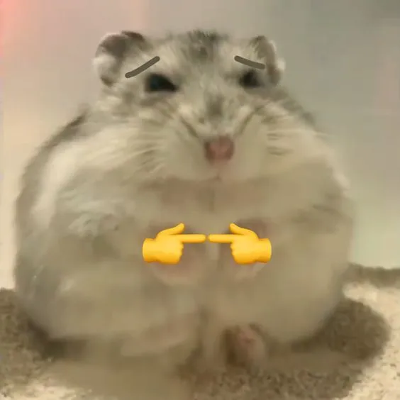 Hình chuột hamster hài hước cực khó đỡ