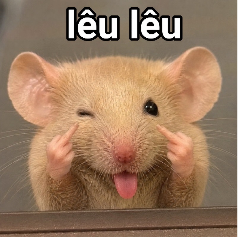 Tuyển tập meme chuột lêu lêu biểu cảm cực hài bá đạo