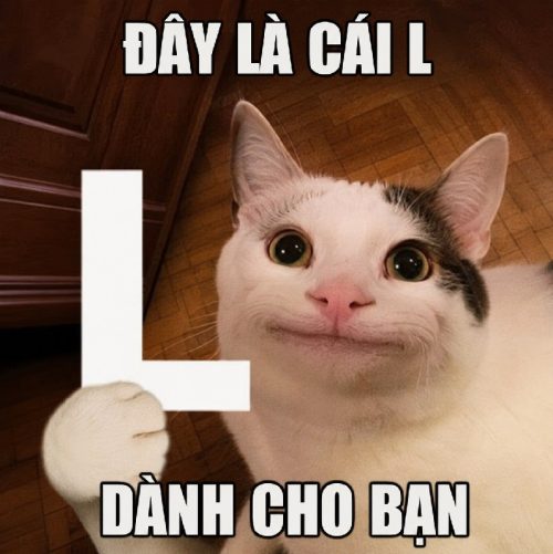 Meme có cái l – Bộ ảnh chế siêu bựa hài hước lầy nhất