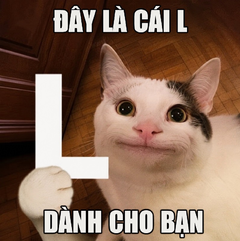Meme có cái l – Bộ ảnh chế siêu bựa hài hước lầy nhất