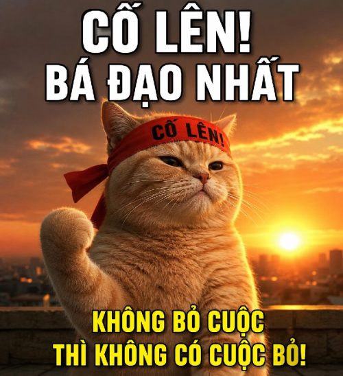 Meme cố lên – Tổng hợp ảnh chế động viên cute siêu hài hước