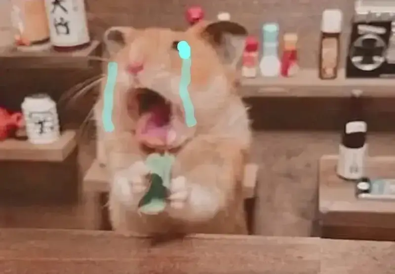 Hình ảnh chuột Hamster khóc dễ thương, vừa khóc vừa đáng yêu.