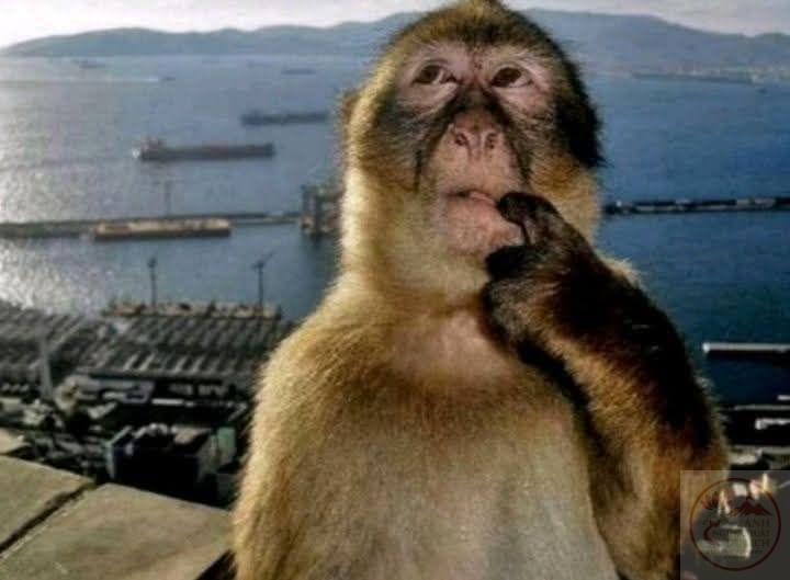 55+ Ảnh Meme Tối Cổ - Loạt meme 'huyền thoại' đời đầu