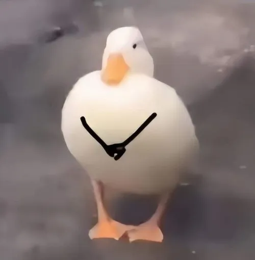 67