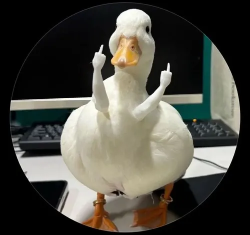 Ảnh chế vịt cosplay meme nổi tiếng.