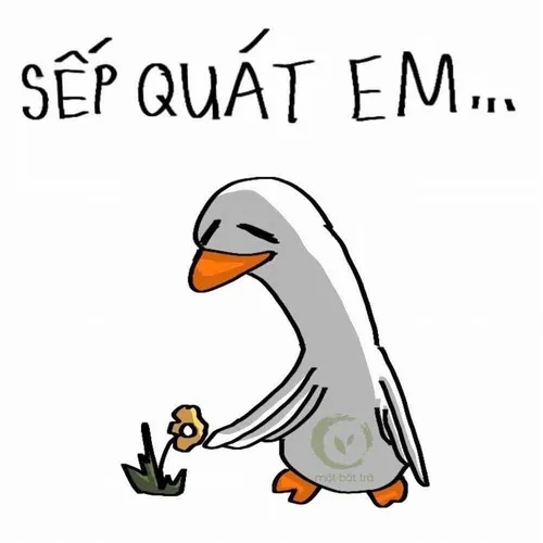 Meme chế vịt ngáo ngơ gây sốt Facebook.