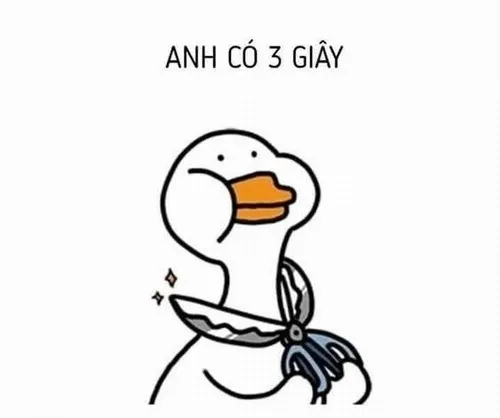 61