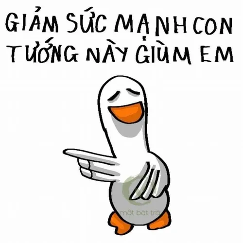 Ảnh hài vịt remix khiến dân TikTok nghiện.