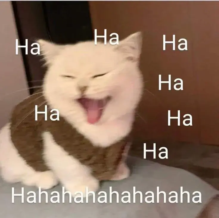 Meme mèo cười sảng khoái khiến cộng đồng mạng thích thú